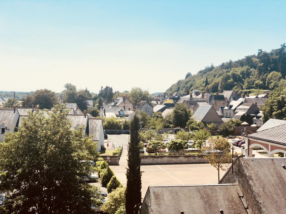 A La Fleur De Lys Bed and Breakfast Langeais Buitenkant foto
